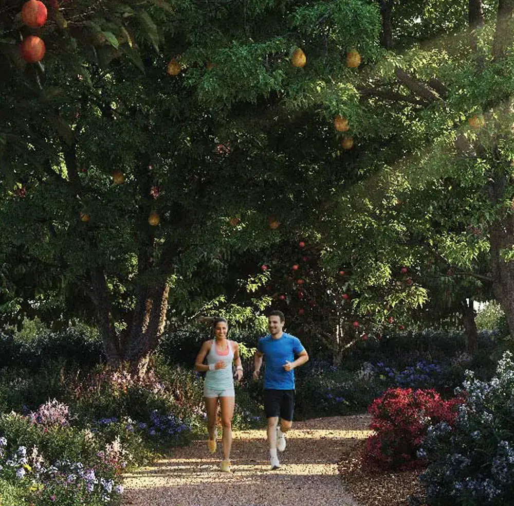 Model Town (Log Hut)